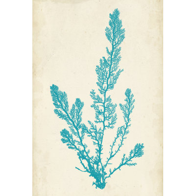 Aquamarine Seaweed VI by Vision Studio - Painting