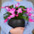 Kute Nest Indoor/Outdoor Fiberstone Globo Ball Planter - Tricorn Black 12"D (Opening 7.8")-114366456-114366458