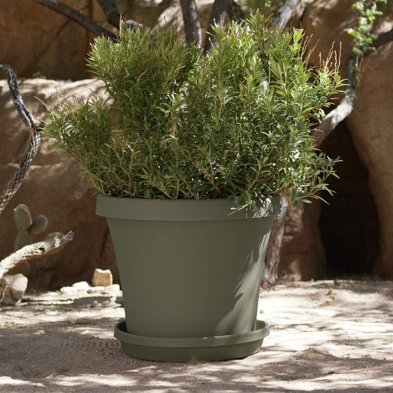 Pot à fleur intérieur / extérieur en plastique Terra, H 5,3 po x l 6,3 po x P 6,3 po, Vert vif