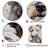 " Yorkshire Terrier Curious Portrait "-1834487848-1863907992