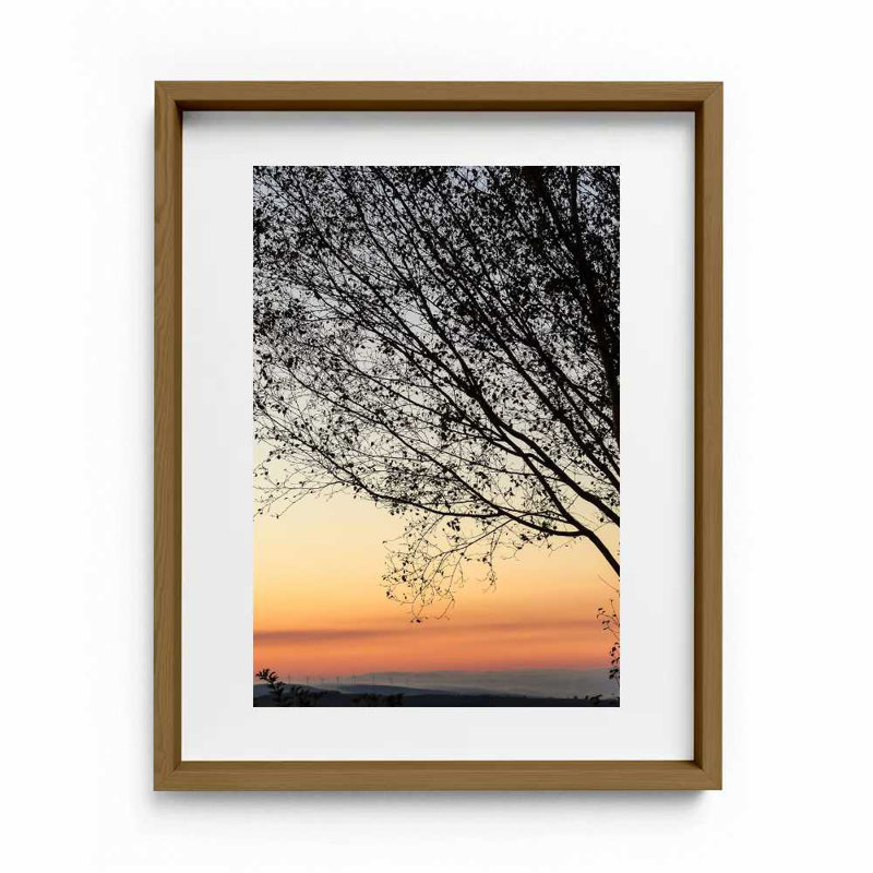 Sunset Tree Print by Joseph Regan, 26" H x 22" W x 0.75" D, Walnut