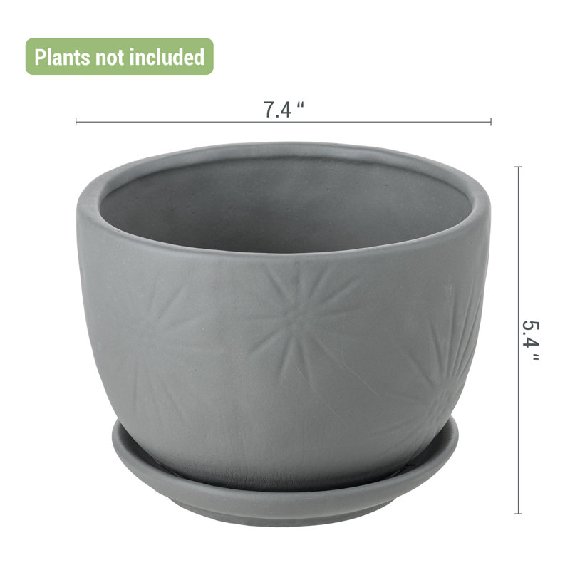 Indoor Cement Flower Pot Planter