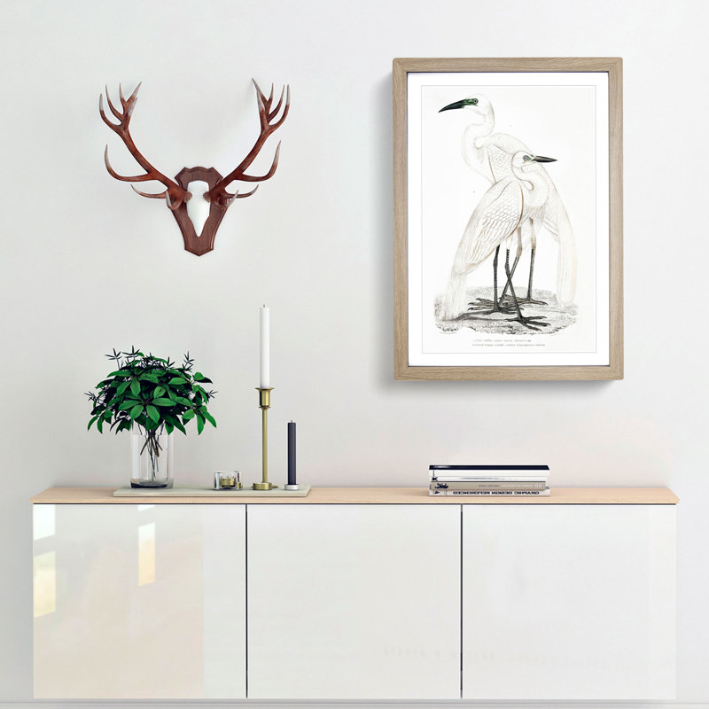 Illustration of White Herons by John Edward Gray - Picture Frame Painting Print, Oak Framed, 65cm H x 48cm W x 2cm D