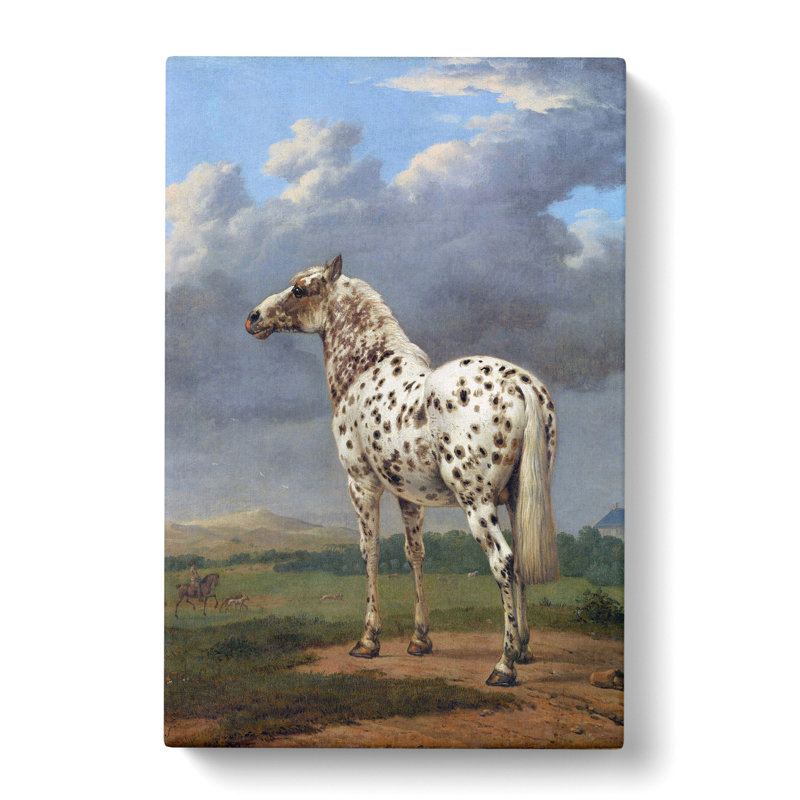 The Piebald Horse by Paulus Potter - Wrapped Canvas Painting, 50cm H x 35cm W x 3cm D