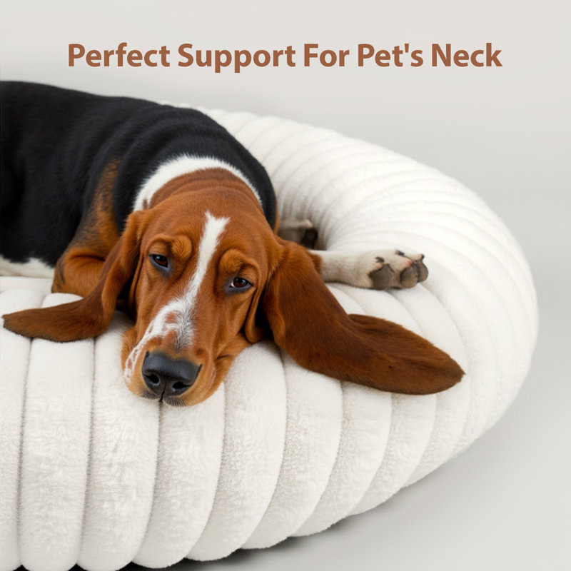 Lit pour chien Calming Donut, Blanc, Petit (H 7 po x l 24 po x P 24 po)