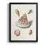 Pastel Knorr Shells VII, reproduction encadrée de qualité supérieure - prête à être accrochée-88286388-88286389
