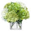 Blooms Green And Cream Hydrangeas In Glass Cube Vase