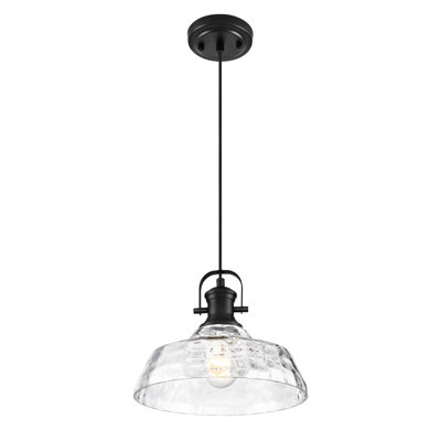 Luminaire suspendu en verre floral huilé 1 lumière 10,5 pouces avec abat-jour en verre transparent