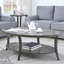 Table basse ovale grise - Style avec bois de bouleau et étagère supplémentaire-1102228949