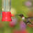 Elser Chip Resistant Hanging Hummingbird Feeder