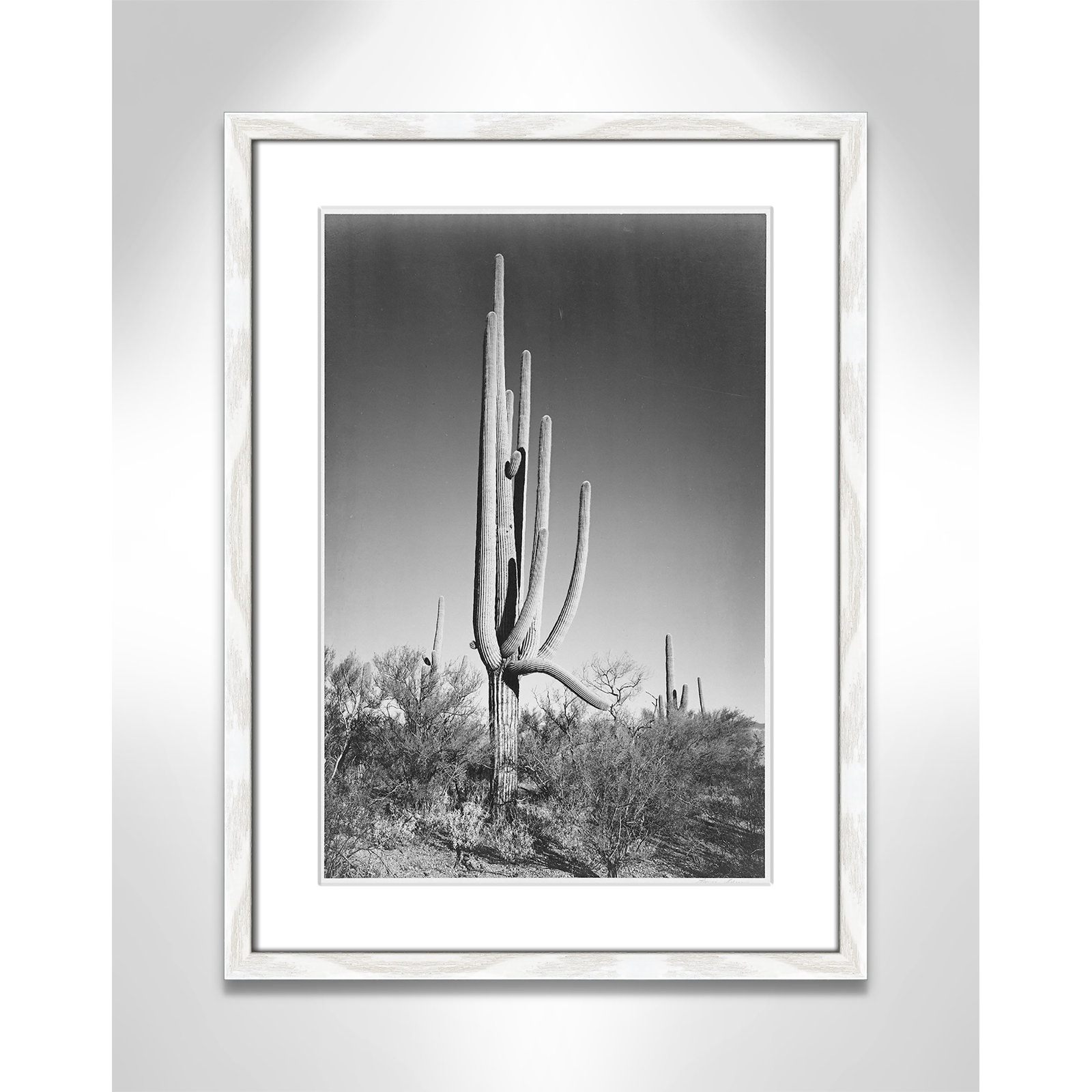Saguaro National Monument Print by Ansel Adams, 23" H x 17" W x 0.75" D, White