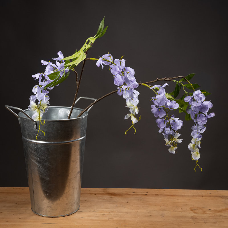 Anastasija Arrangement