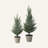24.5" and 20" Green Christmas Tree Set
