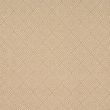 Allure Fabric