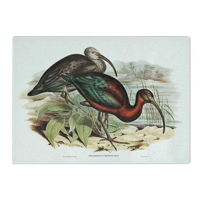 Tempered Glass Glossy Ibis Birds by Elizabeth Gould Chopping Board