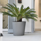 Vrej Fibreglass Planter