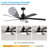 65 Inch Black Ceiling Fan with Light, 5-Blade Dimmable LED Ceiling Fan with Remote Control, Modern Quiet Design for Living Room and Bedroom (Silent/6-Speed/Reversible/DC Motor)
