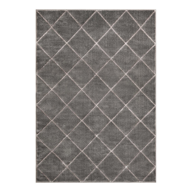 Latitude Run® Checks Novica Rug Gray and Silver, Rectangle 5'3" x 7'1"