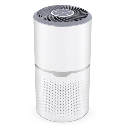 Véritable filtre à air HEPA