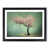 Black Framed selected