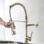 Robinet d'évier de cuisine contemporain doré avec levier rétractable, levier simple pour un contrôle sans effort, levier pivotant à 360 degrés, fonctionnalité améliorée