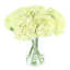 Hydrangeas Arranged in a Glass Vase