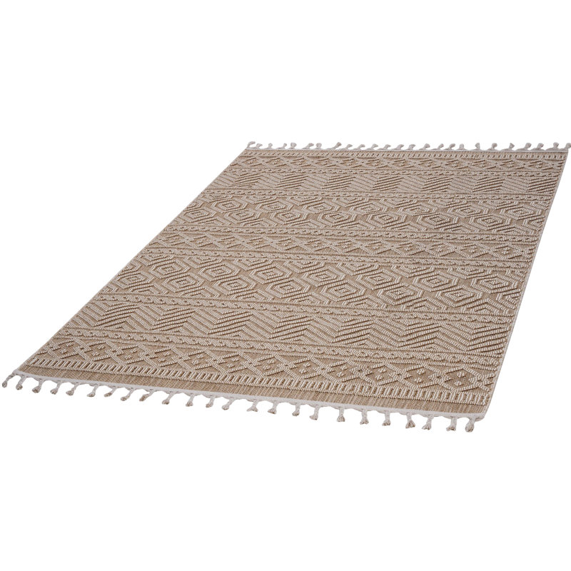 Tapis tissé à l'intérieur et à l'extérieur 6X9