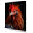 Wrapped Canvas