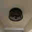 Customer photo 2 of 2