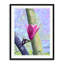 Magnolia Blossom Print by Evan Sklar-65852305-65826449
