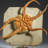 Véritable fossile Ophiuroidea Star fragile avec présentoir personnalisé (1,8 lb)
