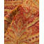 Classic One-of-a-Kind 8' 0" X 9' 8" Hand Knotted Area Rug