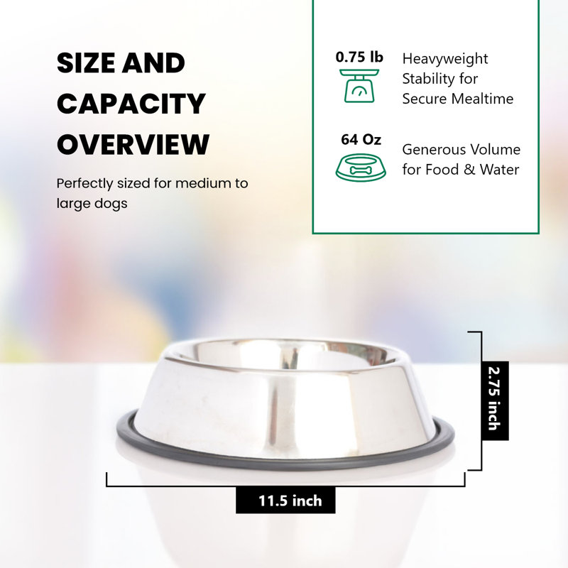 Stainless Steel Non-Skid Pet Bowl with Rubber Ring
