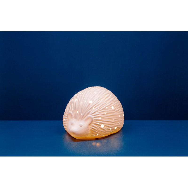 Novelty Lamp