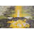 Nature Print Abstract Modern Rug 5x7
