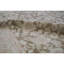 Ziegler Wool Oriental Area Rug