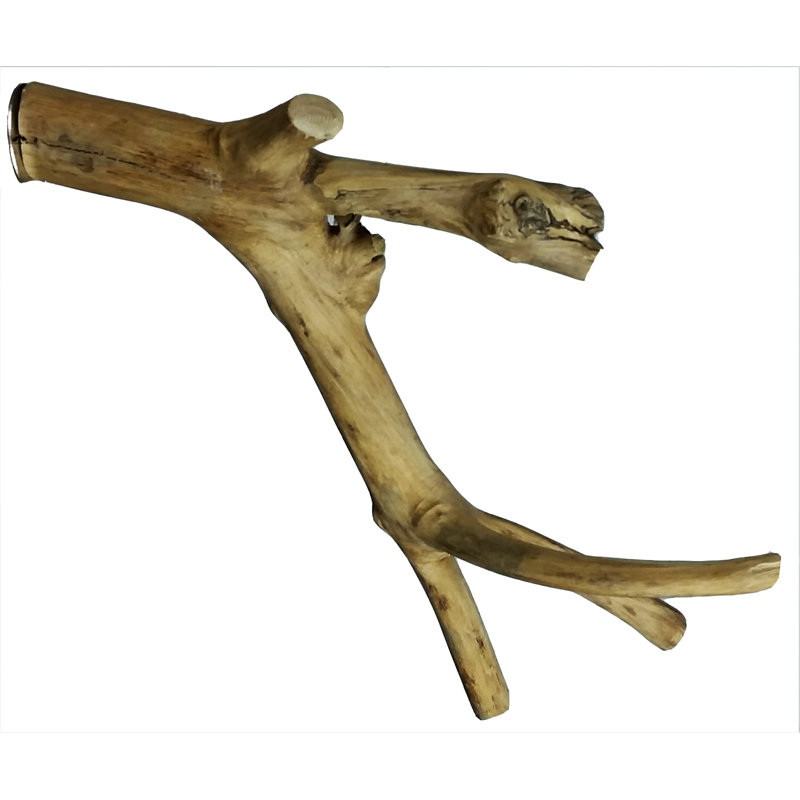 Perchoir multi branches en bois A & e Cage Co. Java, Moyen (L 22 po)
