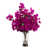 Rose est en rupture de stock