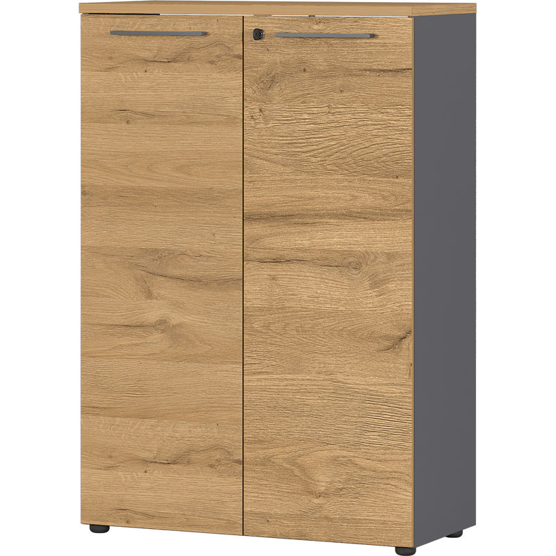 Miabella 2 -Door Storage Cabinet, Graphite/Oak