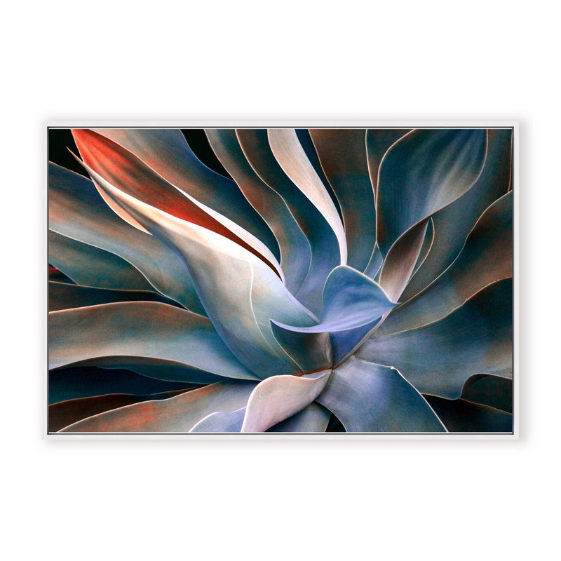 Nature Inspired The Colors in Leaves by  - Picture Frame Graphic Art on Paper, 24" H x 36" W x 1.125" D, Black