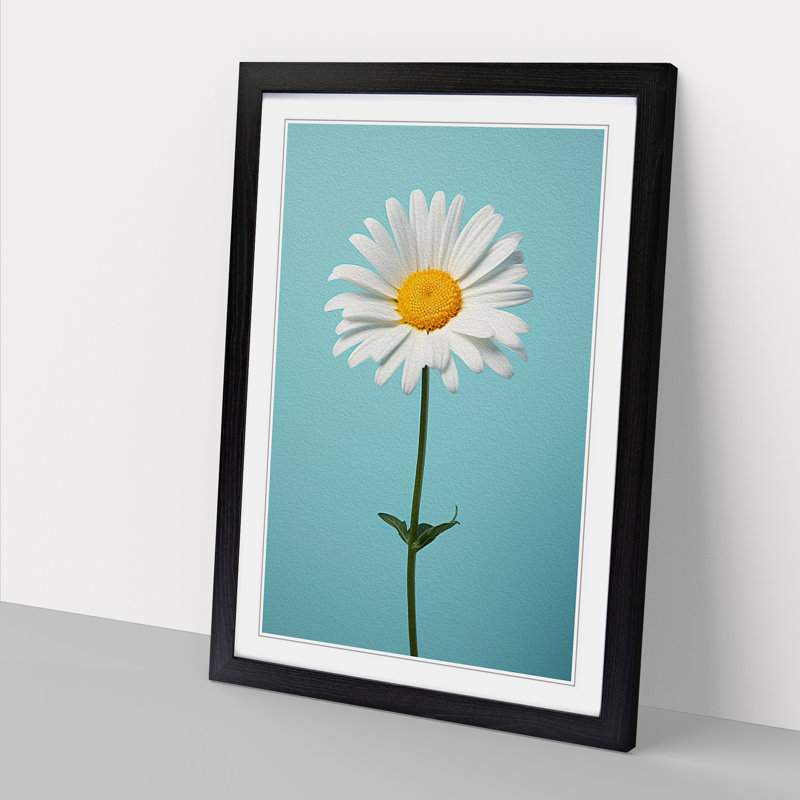 Single Picture Frame Print on Wood, Black Framed, 46cm H x 34cm W