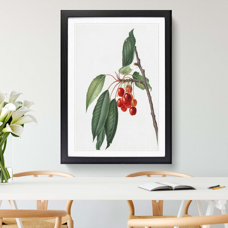 Sweet Cherry Tree by Giorgio Gallesio - Picture Frame Art Print, 36cm H x 27cm W x 2cm D, Black Framed