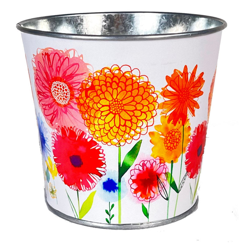 August Grove® Decorative Bin