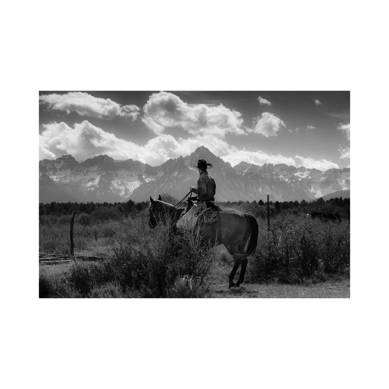 Cowboy on Cattle Drive Gather Angus/Hereford Cross Cows and Calves, San Juan Mountains, Colorado 1 Piece Wrapped Canvas Wall Art