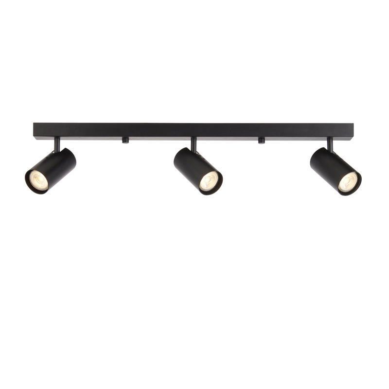 Rex Ceiling Spotlight