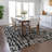 Machine Washable Indoor/Outdoor Chayden ACN1059 Rug-352478191