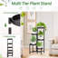 Plant Stand