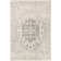 Oriental Indoor Rug