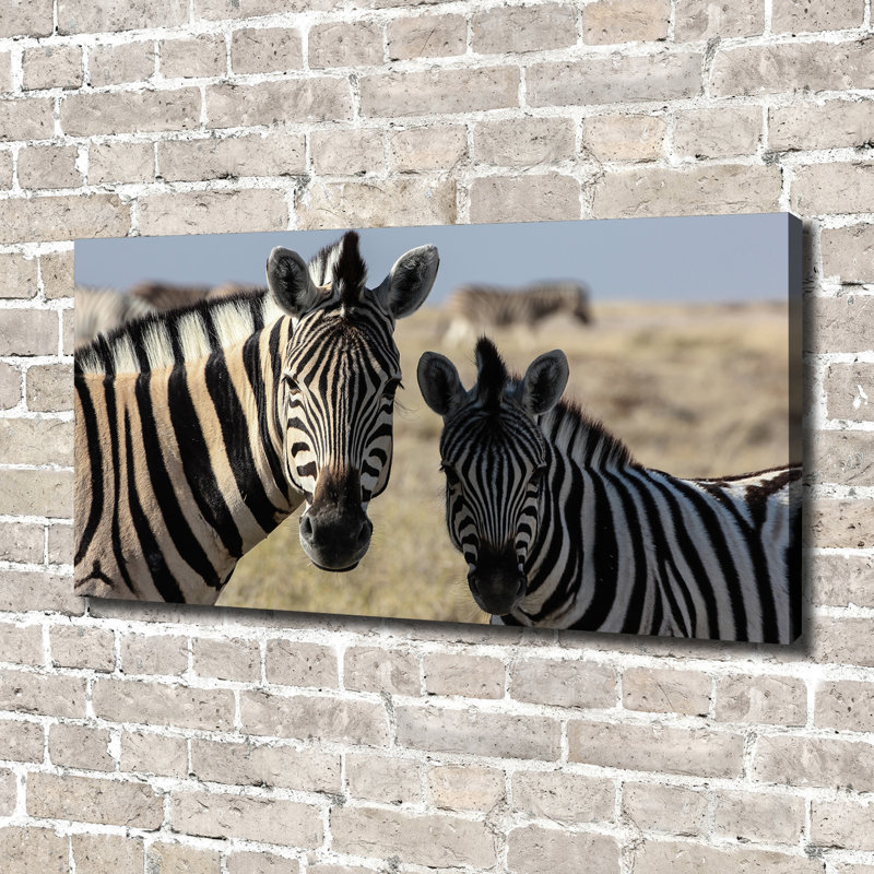 Two Zebras - Wrapped Canvas Print