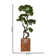 Panama 37" Artificial Bonsai Tree in Planter